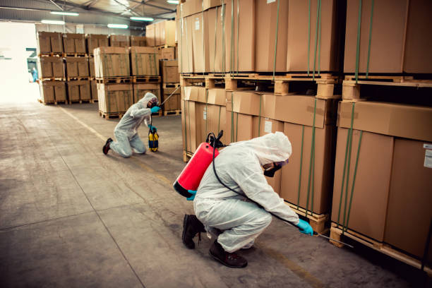 Best Emergency Pest Control  in Munising, MI