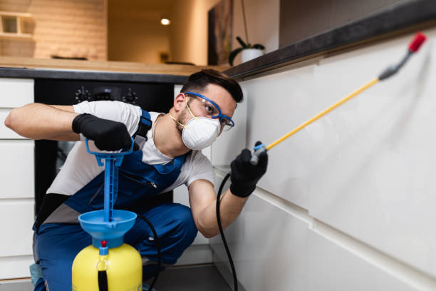Best Pest Prevention Services  in Munising, MI
