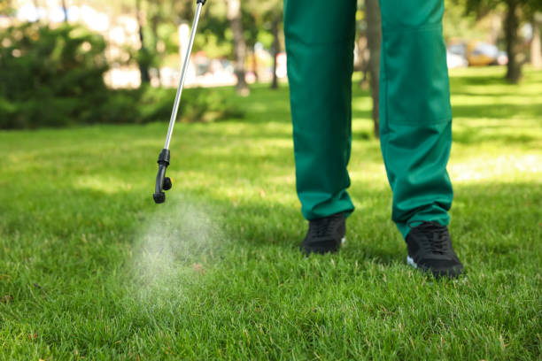 Best Pest Prevention Services  in Munising, MI