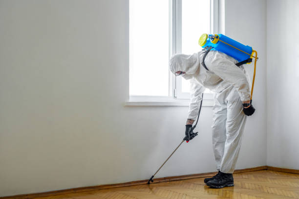 Trusted Munising, MI Pest Control Experts