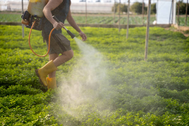Pest Prevention Services in Munising, MI