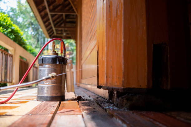 Best Affordable Pest Control Services  in Munising, MI