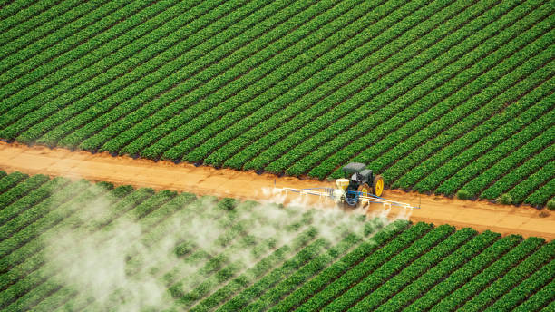 Best Commercial Pest Control Services  in Munising, MI