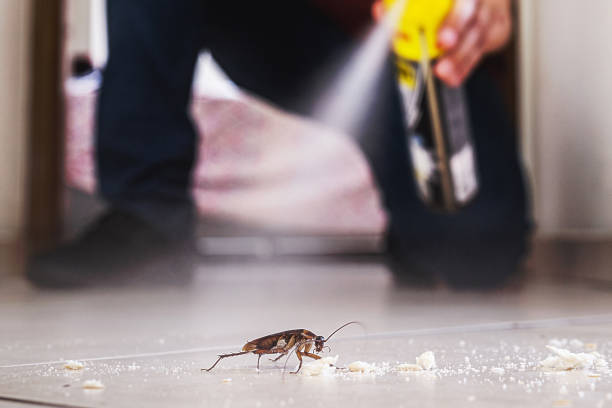 Best Pest Removal Services  in Munising, MI