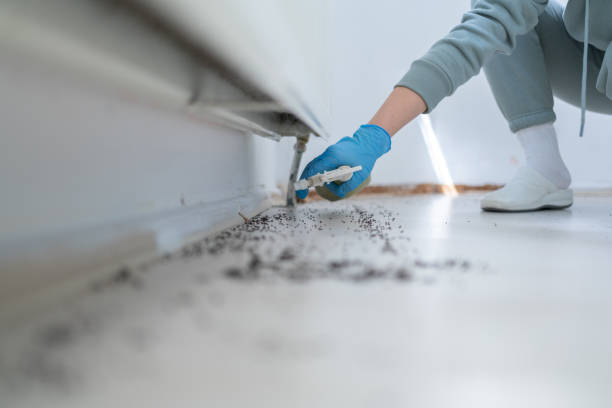 Best Wasp Removal Services  in Munising, MI